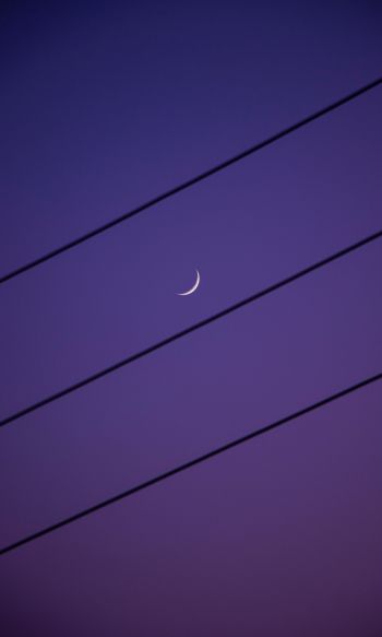 crescent moon, night sky, purple Wallpaper 1200x2000