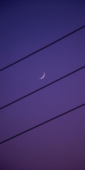 crescent moon, night sky, purple Wallpaper 720x1440