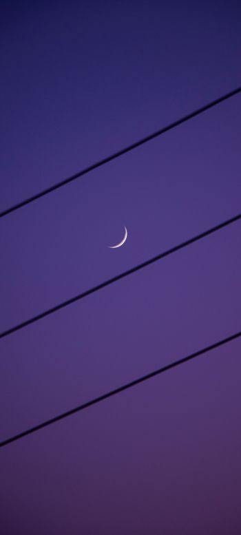 crescent moon, night sky, purple Wallpaper 1080x2400