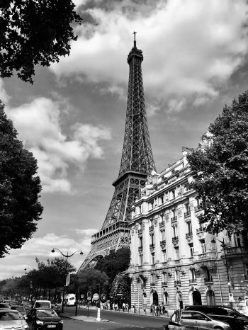Обои 1536x2048 Эйфелева башня, черное и белое, Париж