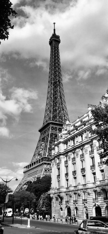 eiffel tower, black and white, Paris Wallpaper 1242x2688