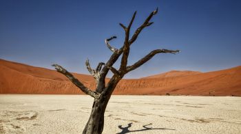 Sossusvlei, Namibia, Africa, arid landscape Wallpaper 2048x1152