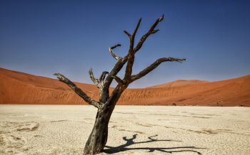 Обои 1920x1200 Соссусфлей, Намибия, Африка, засушливый пейзаж