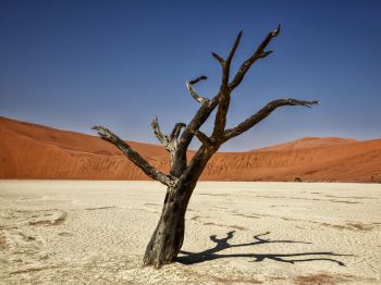 Обои 1024x768 Соссусфлей, Намибия, Африка, засушливый пейзаж