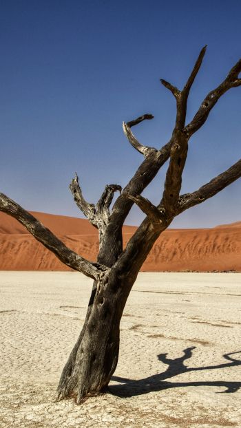 Обои 750x1334 Соссусфлей, Намибия, Африка, засушливый пейзаж