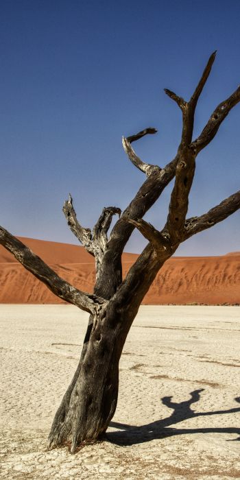 Sossusvlei, Namibia, Africa, arid landscape Wallpaper 720x1440