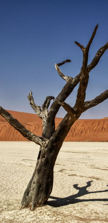 Обои 1440x2960 Соссусфлей, Намибия, Африка, засушливый пейзаж