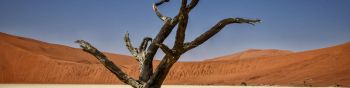 Обои 1590x400 Соссусфлей, Намибия, Африка, засушливый пейзаж
