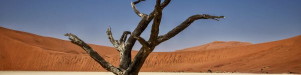 Обои 1590x400 Соссусфлей, Намибия, Африка, засушливый пейзаж