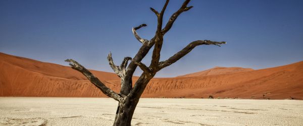 Sossusvlei, Namibia, Africa, arid landscape Wallpaper 3440x1440