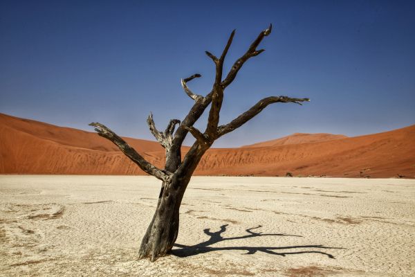 Обои 5472x3648 Соссусфлей, Намибия, Африка, засушливый пейзаж