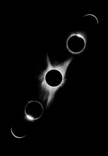 lunar eclipse, black and white Wallpaper 1640x2360
