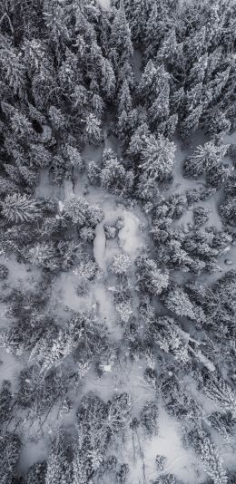 Обои 1080x2220 снегопад, фото с дрона, зима, деревья