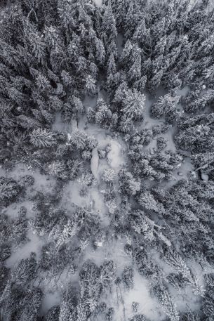 Обои 640x960 снегопад, фото с дрона, зима, деревья