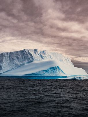 Обои 1620x2160 Антарктида, лед, айсберг