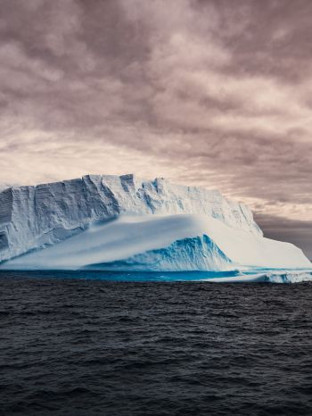 Обои 1668x2224 Антарктида, лед, айсберг