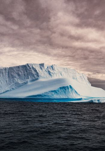 Обои 1668x2388 Антарктида, лед, айсберг