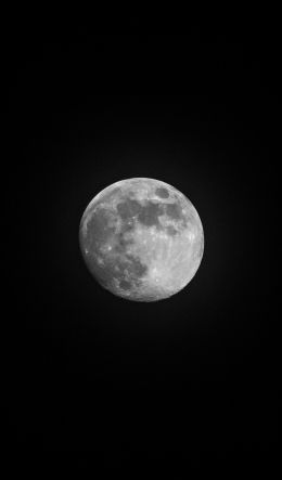 moon, satellite, black and white Wallpaper 600x1024