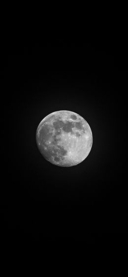 moon, satellite, black and white Wallpaper 828x1792