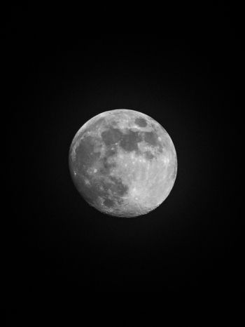 Обои 1668x2224 луна, спутник, черное и белое