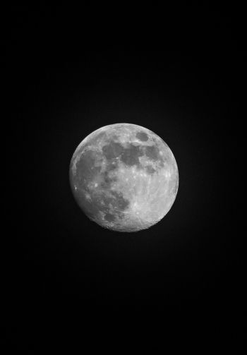 Обои 1640x2360 луна, спутник, черное и белое