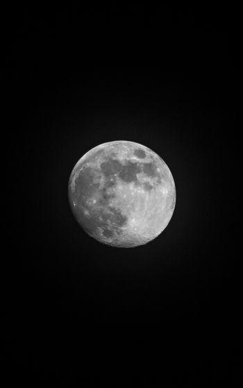 Обои 1752x2800 луна, спутник, черное и белое