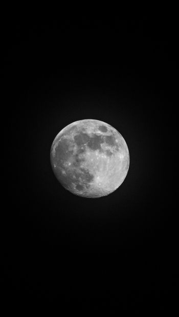 Обои 640x1136 луна, спутник, черное и белое
