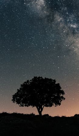 Spain, astro, milky way Wallpaper 600x1024