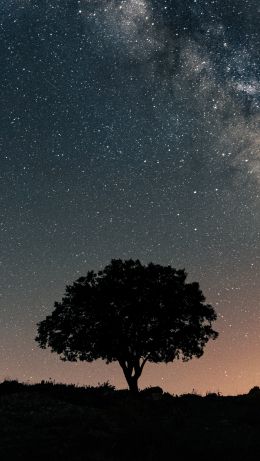 Spain, astro, milky way Wallpaper 640x1136