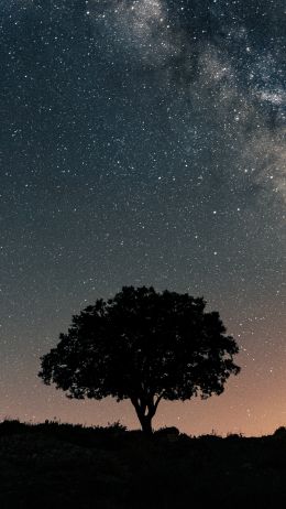 Spain, astro, milky way Wallpaper 2160x3840