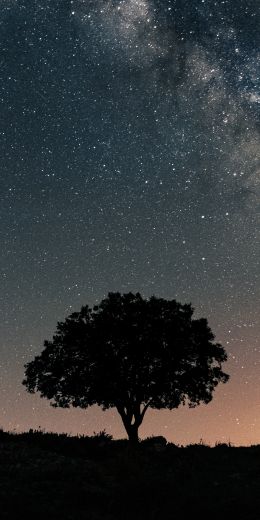 Spain, astro, milky way Wallpaper 720x1440