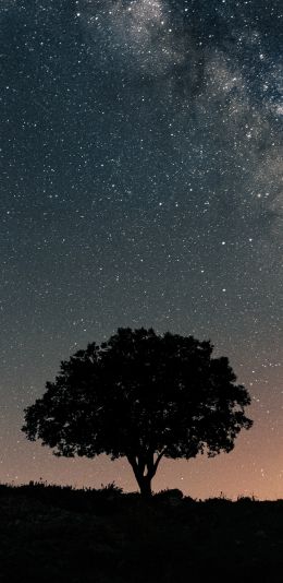 Spain, astro, milky way Wallpaper 1440x2960