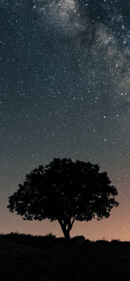 Spain, astro, milky way Wallpaper 1125x2436