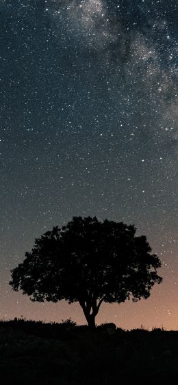 Spain, astro, milky way Wallpaper 1080x2340