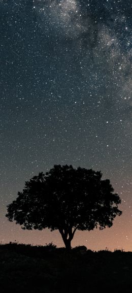 Spain, astro, milky way Wallpaper 1440x3200