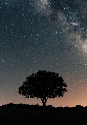 Spain, astro, milky way Wallpaper 1668x2388