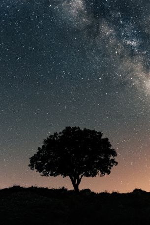 Spain, astro, milky way Wallpaper 640x960