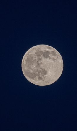 full moon, night, sky Wallpaper 600x1024