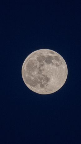 full moon, night, sky Wallpaper 720x1280