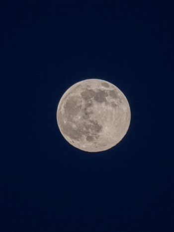 full moon, night, sky Wallpaper 1668x2224