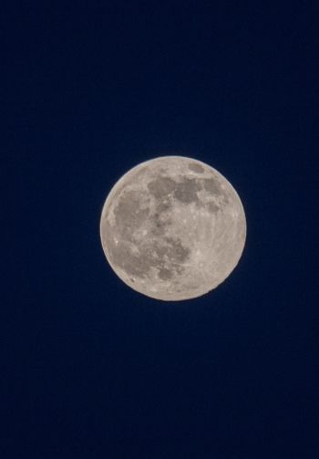 full moon, night, sky Wallpaper 1640x2360
