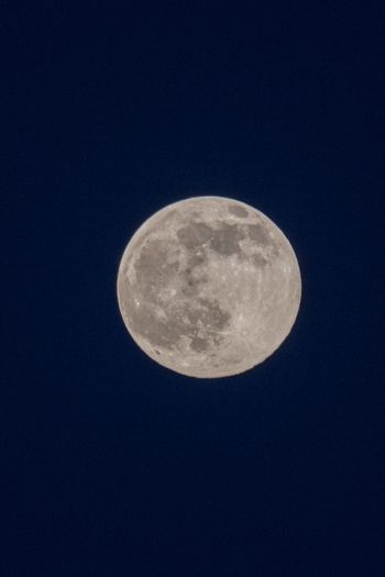 full moon, night, sky Wallpaper 640x960