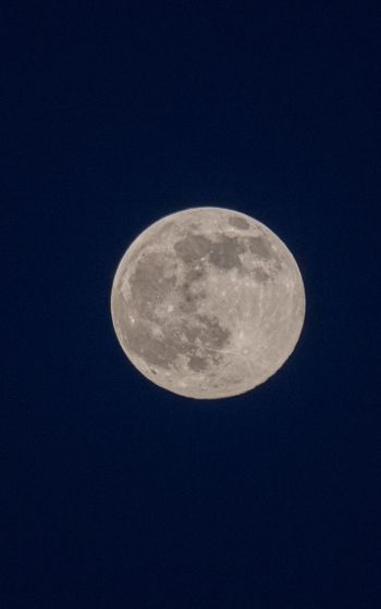 full moon, night, sky Wallpaper 1200x1920