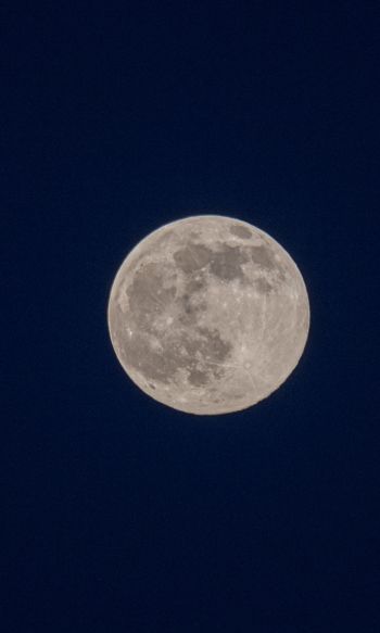 full moon, night, sky Wallpaper 1200x2000