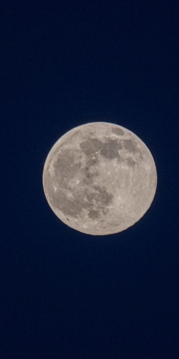 full moon, night, sky Wallpaper 720x1440