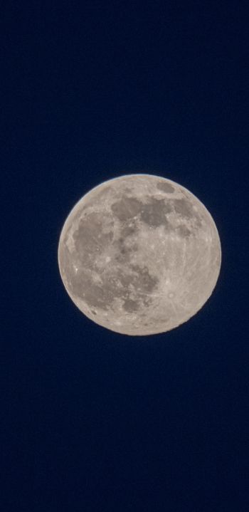 full moon, night, sky Wallpaper 1080x2220