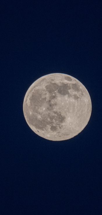 full moon, night, sky Wallpaper 1080x2280