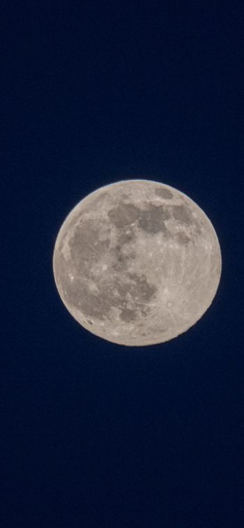 full moon, night, sky Wallpaper 828x1792