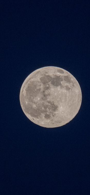 full moon, night, sky Wallpaper 1080x2340