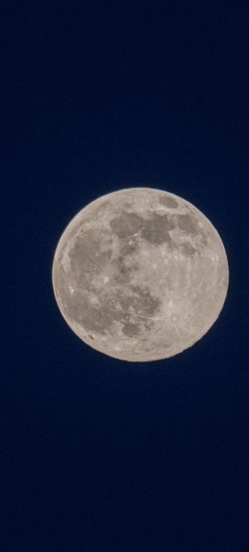 full moon, night, sky Wallpaper 720x1600